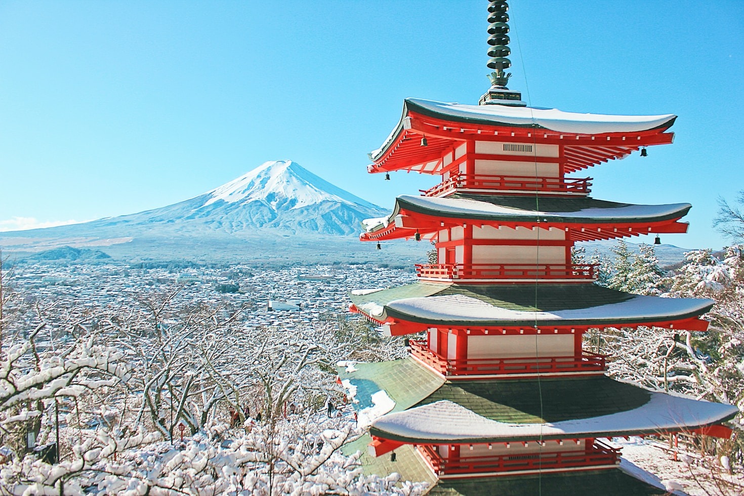 初めての日本旅行ガイド：計画から滞在まで
